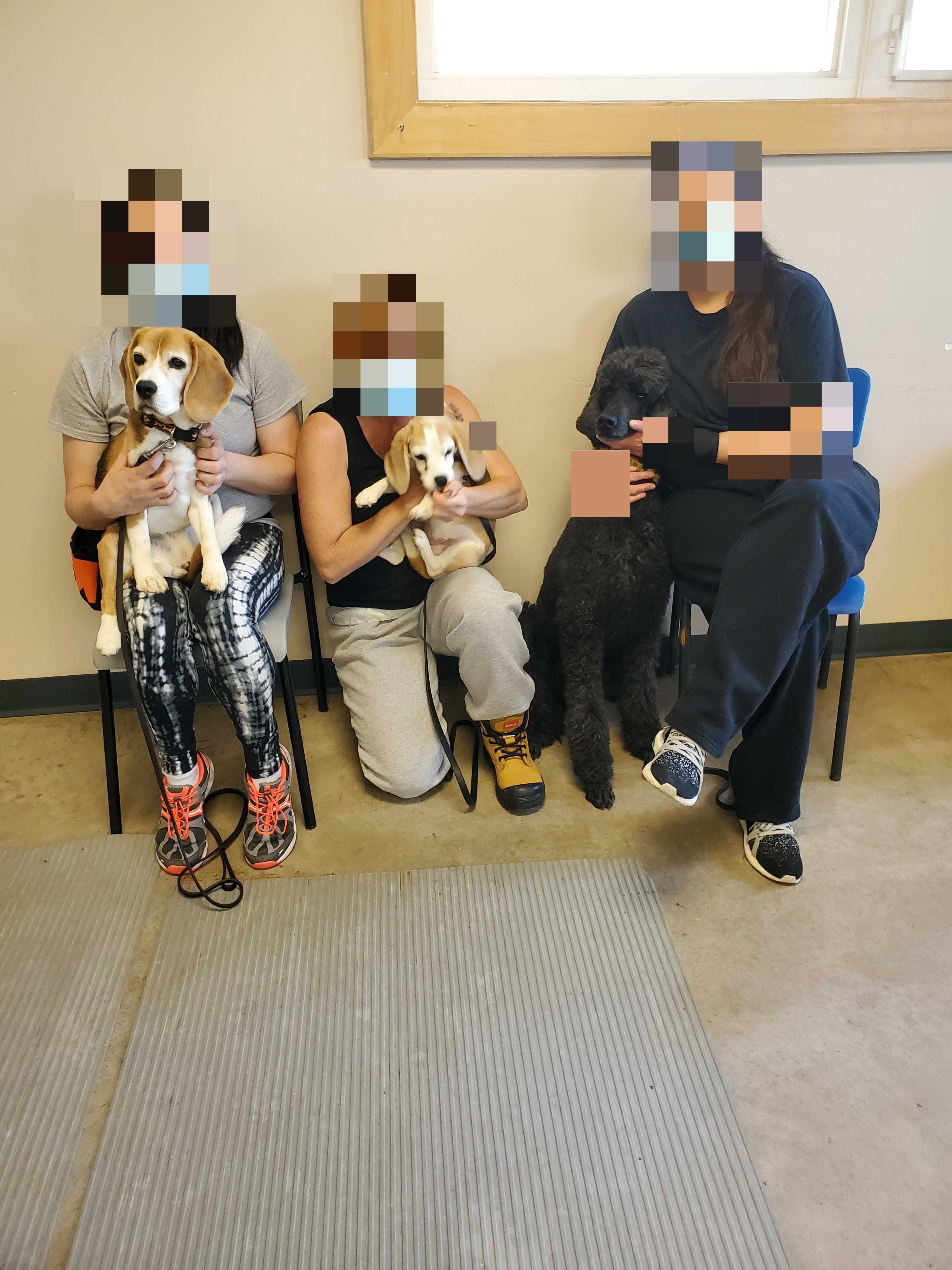 Photo of participants in the dog program at Nova Institution.