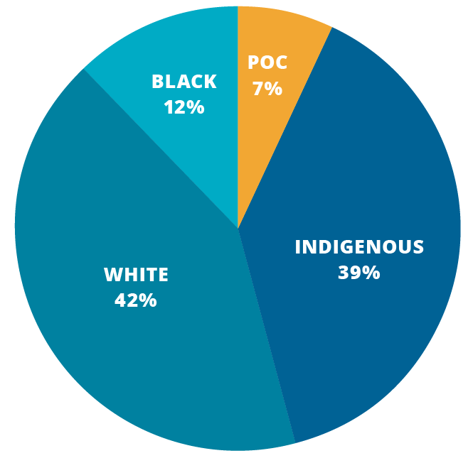A pie chart depicting the race of all individuals involved in use-of-force incidents over the last five years.White: 42%; Indigenous: 39%; Black: 12%; People of Colour (POC): 7%