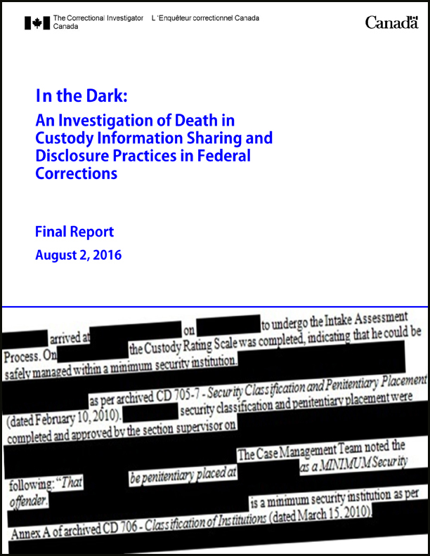 Cover of In the Dark Investigation