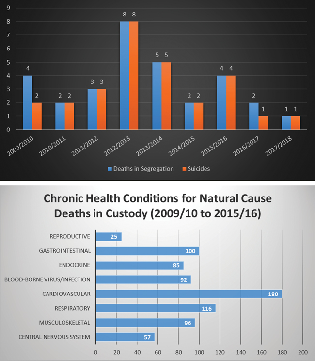 Bar Charts for Deaths in custody
