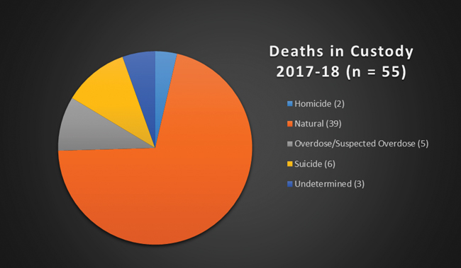 Deaths in Custody 2017-18 (n=55 Pie Chart)