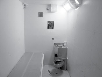 Observation cell