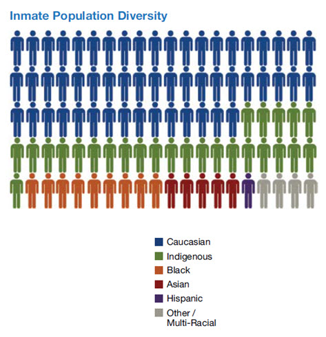 Inmate Population Diversity  