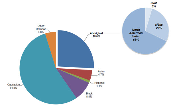 Indigenous Peoples in Federal Corrections  