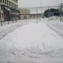 Yard - Cour