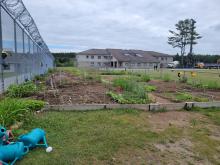Garden plots - Terrains pour le jardinage