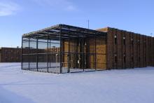 Mini cage in yard - Cage mini dans une cour