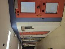 Observation cells - Cellules observation